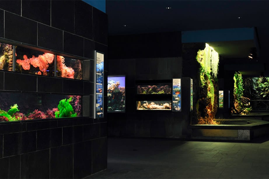 Aquarium-Halle-2.jpg